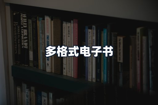 多格式电子书